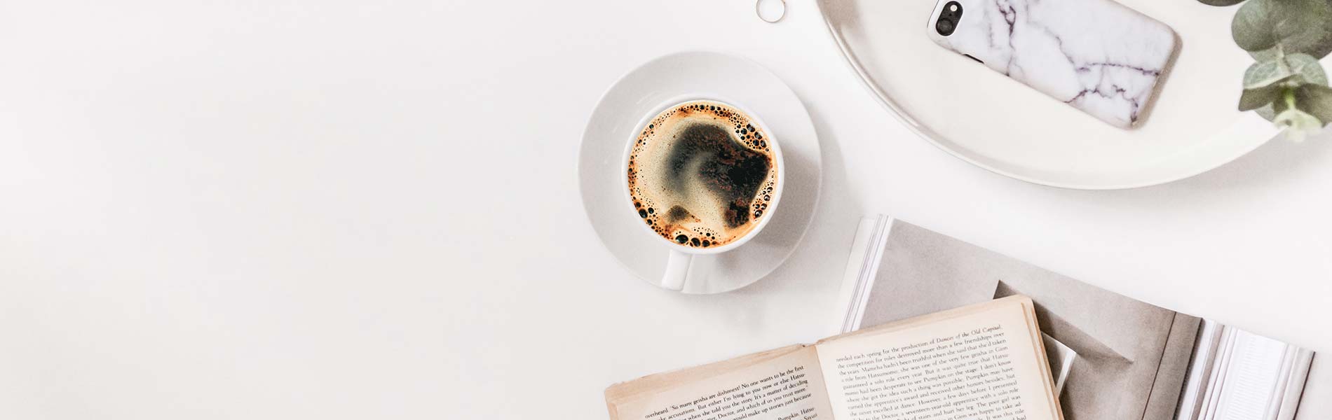 Header Abraxus Consultants